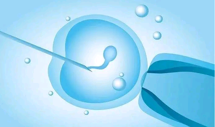 医院助孕费[广州金贝试管官网],甘肃供卵不排队医院排名，2023试管婴儿费用、