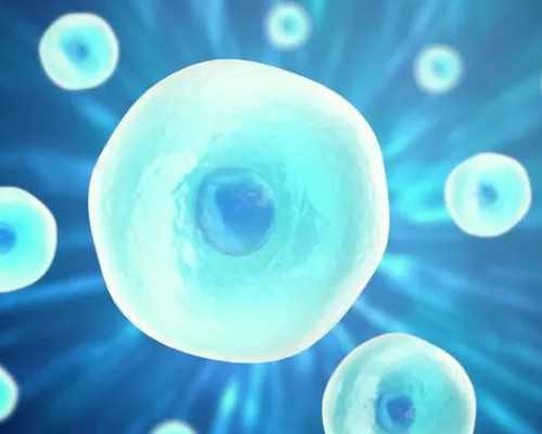 私人找代孕[精因宝贝助孕生殖医学中心],广西民间供卵试管机构哪家好？2026正