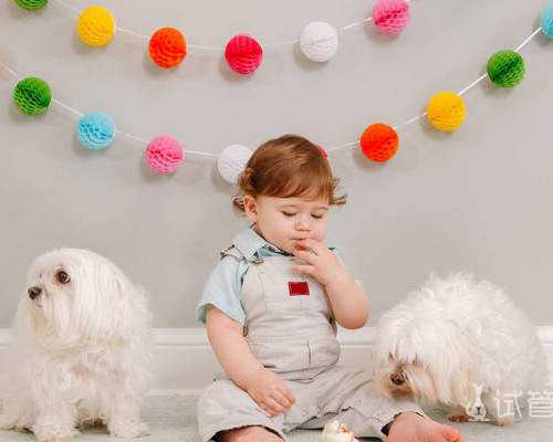 广州传承助孕[哪里可以做供卵],石家庄供卵试管医院排名？附属医院成功率及费