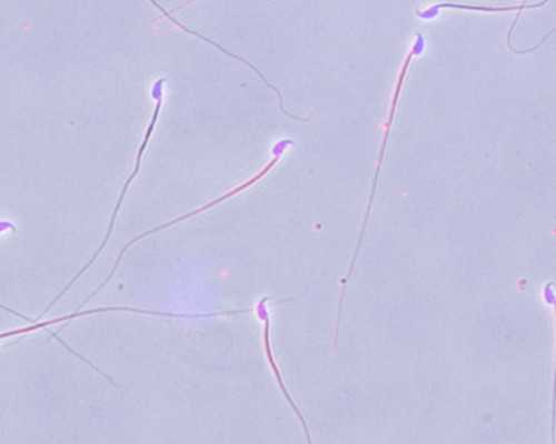 育儿书籍推荐_怀孕一个月怎么流产,自助做芜湖助孕试管婴儿可以吗