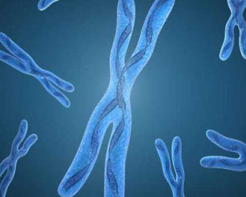 每个月备孕期_怀孕多久能打胎,高龄备孕二胎都需要检查些什么内容-这些检查要