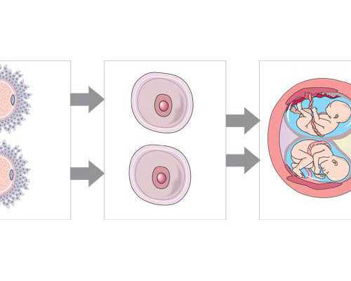 上海有哪些医院可以做第三代试管婴儿！上海可以做第三代试管的医院！