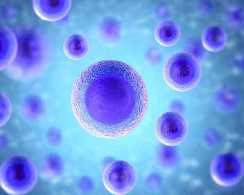 试管婴儿短计划成功率高吗？最快要多久？，所针对的习惯人群也不一样