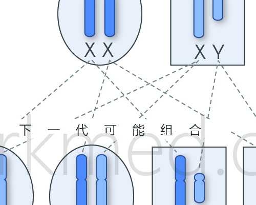 备孕需要吃什么_怎样备孕最好,想顺产？孕32周前须搞定此问题孕期胎位不正怎