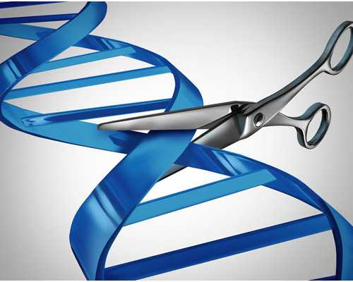 促排卵期间可以吃芬必得吗，促排卵期间能吃止痛药吗,代生孩子价格