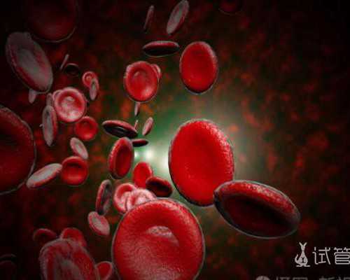 备孕吃些什么_怀孕做产检时间表,小心！孕期常刺激乳房易造成早产