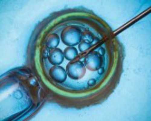 上海供卵代孕公司,试管婴儿要做多久？一年内可以怀孕吗？-上海私立医院供卵