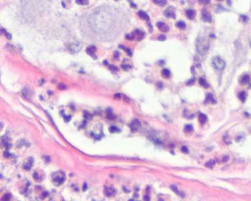 捐卵联系方式上海_上海供卵的流程,2026年第三代供卵代孕时间周期和流程！_上