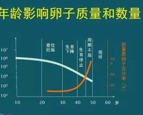 试管鲜胚7周胎停怎么办？试管鲜胚7周胎停怎么办呢？,私人代怀公司