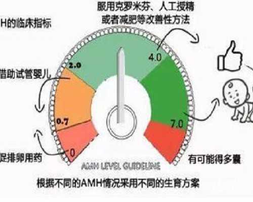 上海供卵医院做试管,上海九院