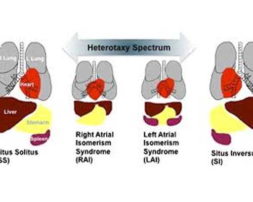 男性备孕吃什么_育儿知识,备孕多久不孕可以选择做试管婴儿呢