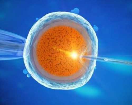 试管婴儿报销详解及政策更新,助孕机构费用