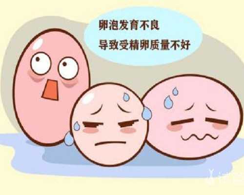 上海试管代怀预约,成活率%22可以做试管婴儿吗-上海私立医院供卵多少钱-上海哪