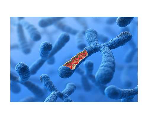 上海高龄试管代怀,上海国妇婴医院三代试管能选男女吗？附详细试管费用