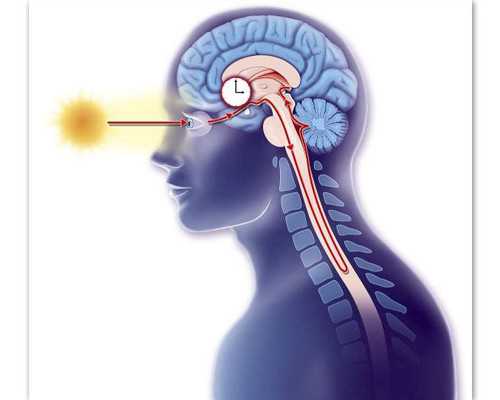 上海三代供卵公司,想在体内植入两个胚胎，上海中山医院可以做试管吗？成功