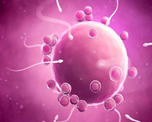 上海代孕哪家公司好,上海三代试管助孕费用高吗？多少钱？