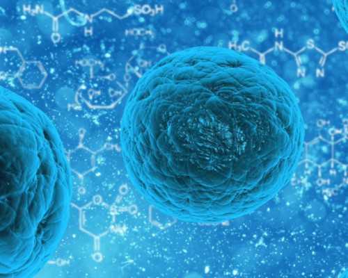 上海助孕供卵中心,32岁在上海九院试管一次大概需要多少钱？