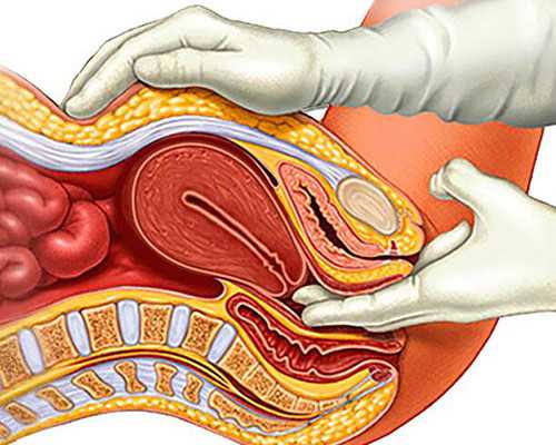 上海找女人代怀,上海市第九人民医院可以做供卵试管婴儿吗？