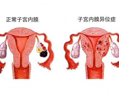 精子的常规检测有哪些指标