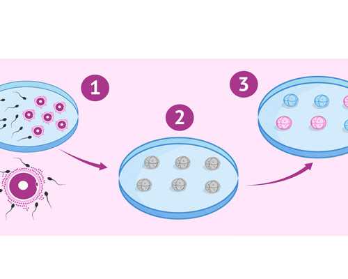 育儿师怎么考_育儿师哪里找,打疫苗后食欲不好怎么办
