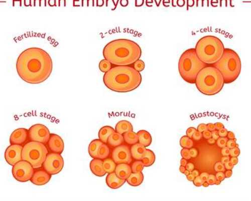孕晚期手淫对胎儿有影响吗？孕晚期手淫的注意事项