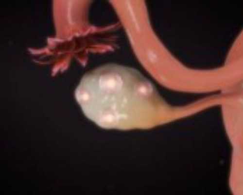 上海三代包性别,2026年最新湖南三代试管婴儿医院排名？附医院成功率明细？