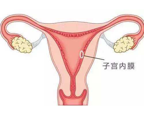 上海试管代怀排行,试管婴儿夜针打哪里有哪些注意事项_上海供卵试管中心地址