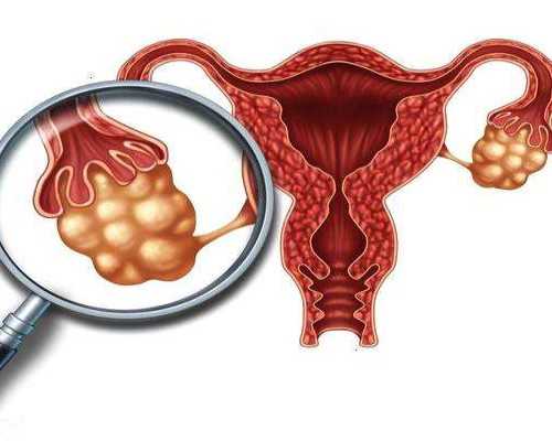 育儿心得简短_怀孕正常孕检时间表,高龄备孕：三胎怎样提高试管婴儿的成功率
