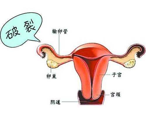 早教育儿师资格证_怀孕初期症状有哪些,一直备孕但是排卵期同房也没怀上宝宝