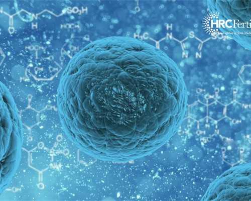 上海借卵子医院,[试管婴儿照片]试管婴儿成功率有多大？_上海供卵试管生子多