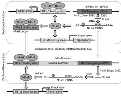aa69助孕集团[供卵移植成功率],济南供卵生男女试管医院排名？附详细介绍？