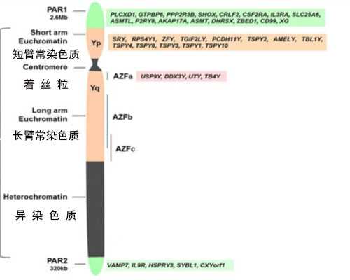 上海供卵自怀价格,上海助孕机构赠卵试管选性别【口碑评价，案例展示】