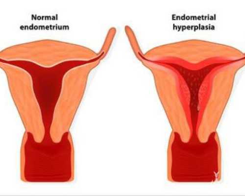 上海供卵费用价格套餐,上海三代试管三代试管价格一览