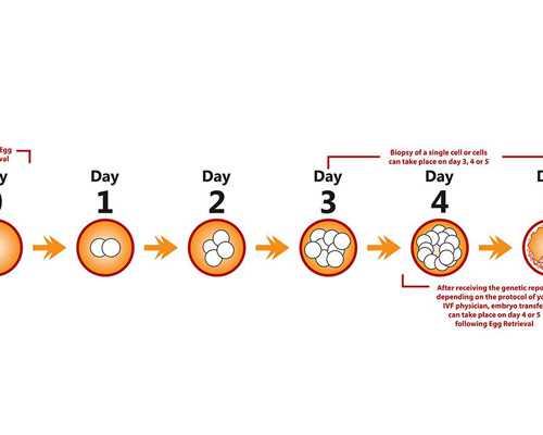 上海正规代孕公司排名,上海红房子试管婴儿_自助找试管婴儿翻译有什么弊端