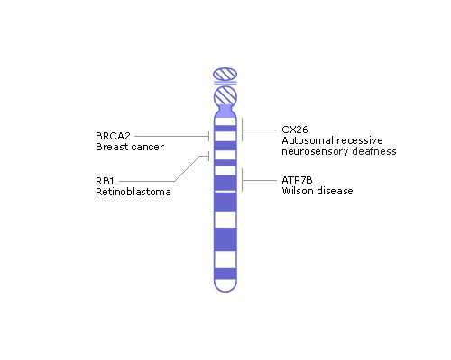 上海代孕套餐,2026上海试管婴儿医院大全，助孕成功率排名前十整理