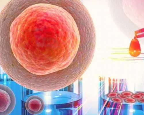 上海借卵代生多少钱,详细介绍上海仁济北院做试管成功率多少！