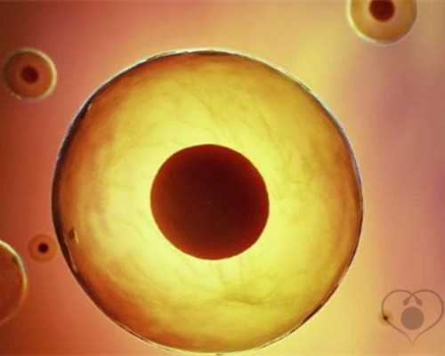 上海助孕过程,供卵代孕婴儿政府有补贴吗-上海正规供卵供卵代孕婴儿医院-上海