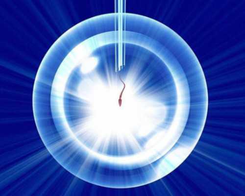 上海供卵助孕经验,试管婴儿移植成功后怎么保胎-上海供卵试管双胞胎_上海供卵