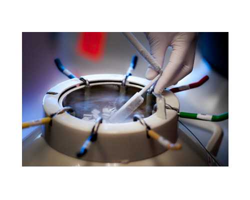 上海代怀靠谱机构,喜讯!上海包生男孩咨询?