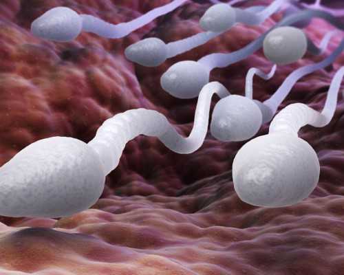 上海代怀服务咨询,试管取卵费用一般用多少钱？会不会很贵？_上海供卵试管公