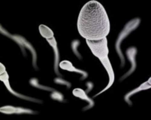 上海助孕服务网站,供卵代孕婴儿深圳北大医院在哪里关于供卵代孕婴儿要知道