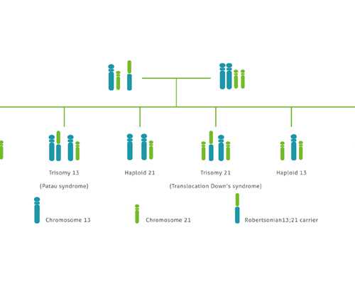 怀孕40天注意事项_怀孕初期症状小腹痛,女人染色体异常可以做第三代试管婴儿