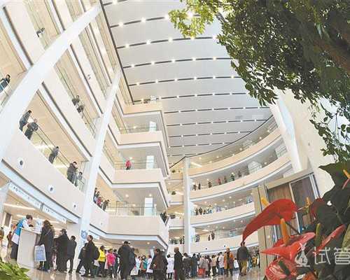 上海美国代孕网站,2026上海九院做供卵试管生男女收费高吗费用大概要多少