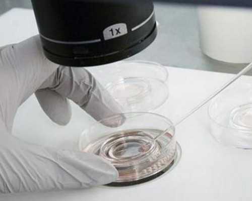 育儿宝典_怀孕一个月有什么症状,备孕不能100%依靠勃锐精，治疗少弱精还得“对