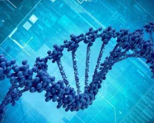 上海最好的试管医院排名最新出炉，附2026上海三代试管怀孕医院名单
						