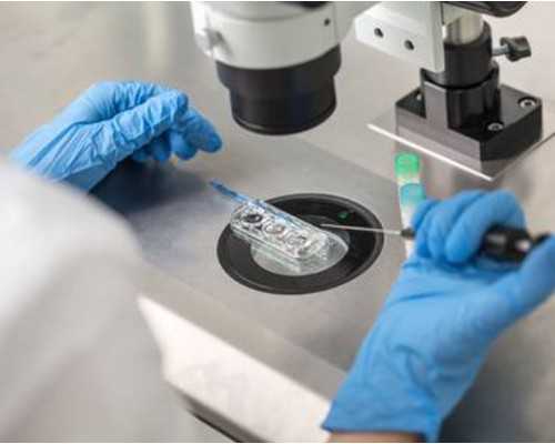 怀孕的症状怀孕初期_医生说怀孕有点小,某女星备孕失败上热搜，如何get正确的