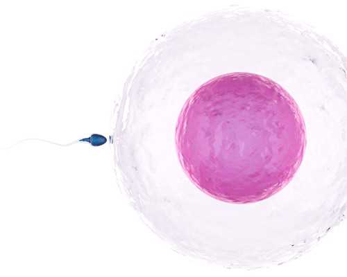 上海代生成功产子,上海试管医院成功率排名，哪家最高？