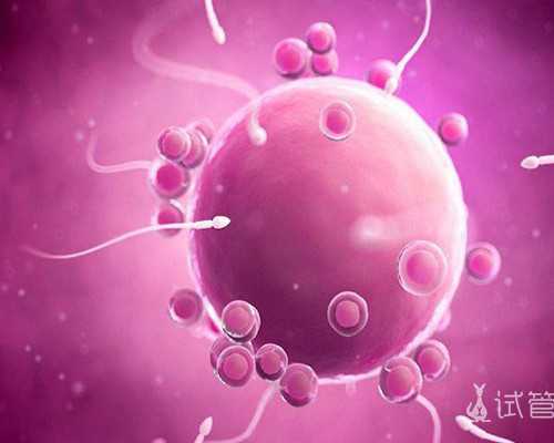 怀孕初期的保胎方法_怀孕初期保胎注意什么?,借卵自怀流程