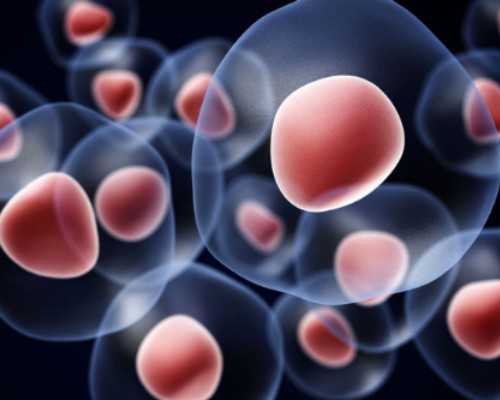 备孕前准备什么检查_怀孕一二周注意事项,2026漯河不孕不育医院排名，附漯河生