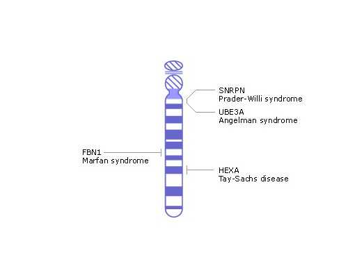 介绍试管婴儿全过程，附详细流程图